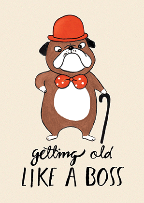 Lulu-Mayo-pug-like-a-boss