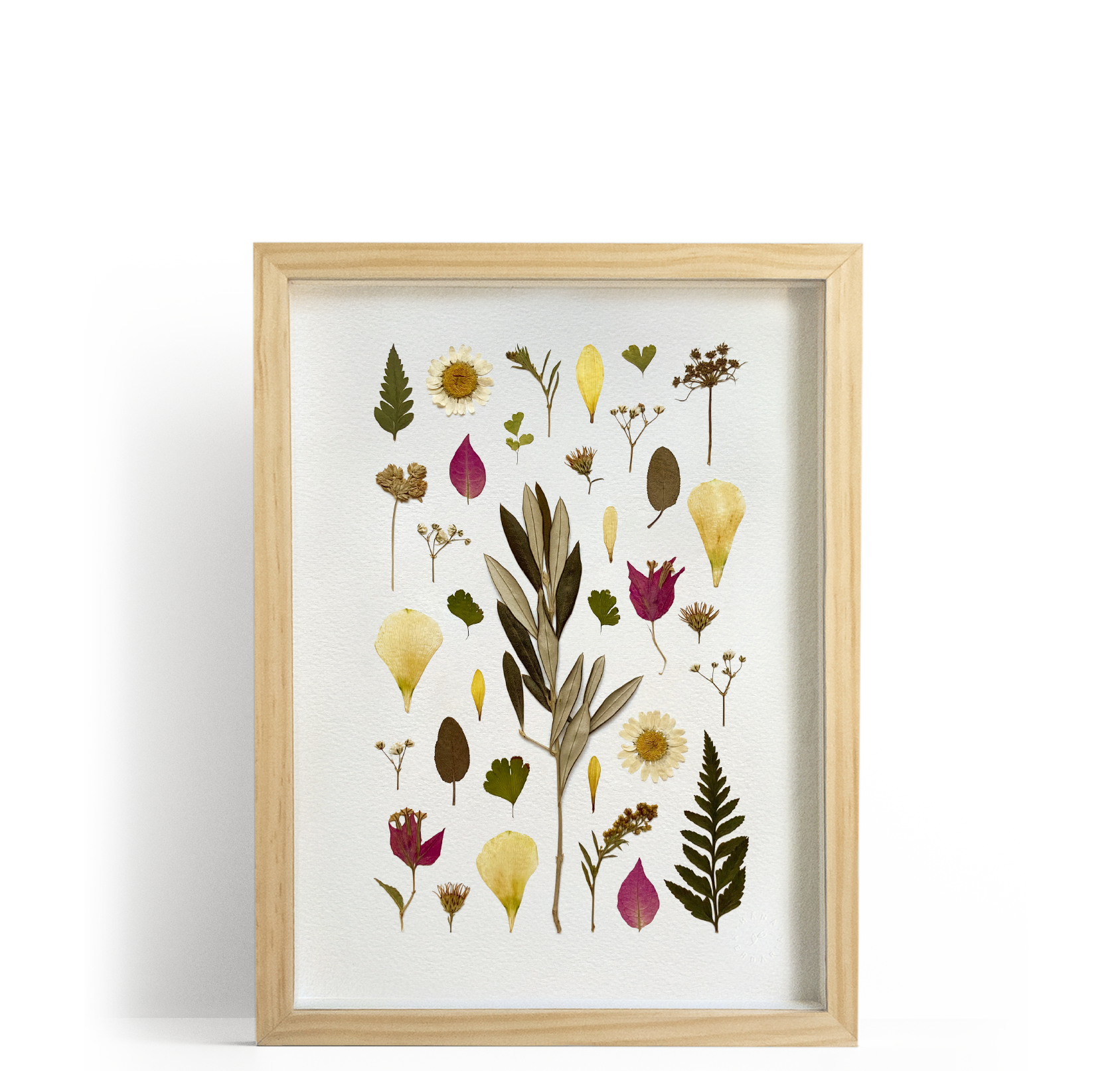 Quadro com Flores Secas | Chuva de Flor | Tamanho A4