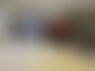 POSSE DA DIRETORIA DA FENADESP 2021