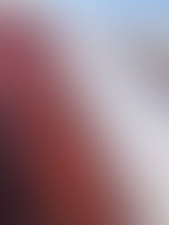 屋根の貫板補修