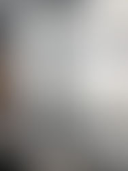 モルタル壁塗装3