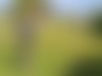 Dona Julia Golf Club Review and Players Guide