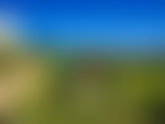 La Cala Golf Europa Course Review and Playing Guide