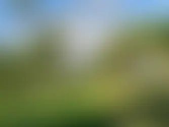 Rio Real Golf: Players Guide and Review