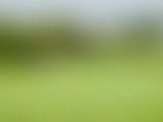 The Ultimate Guide to the Estepona Golf Courses