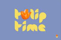 tulip time festival project preview