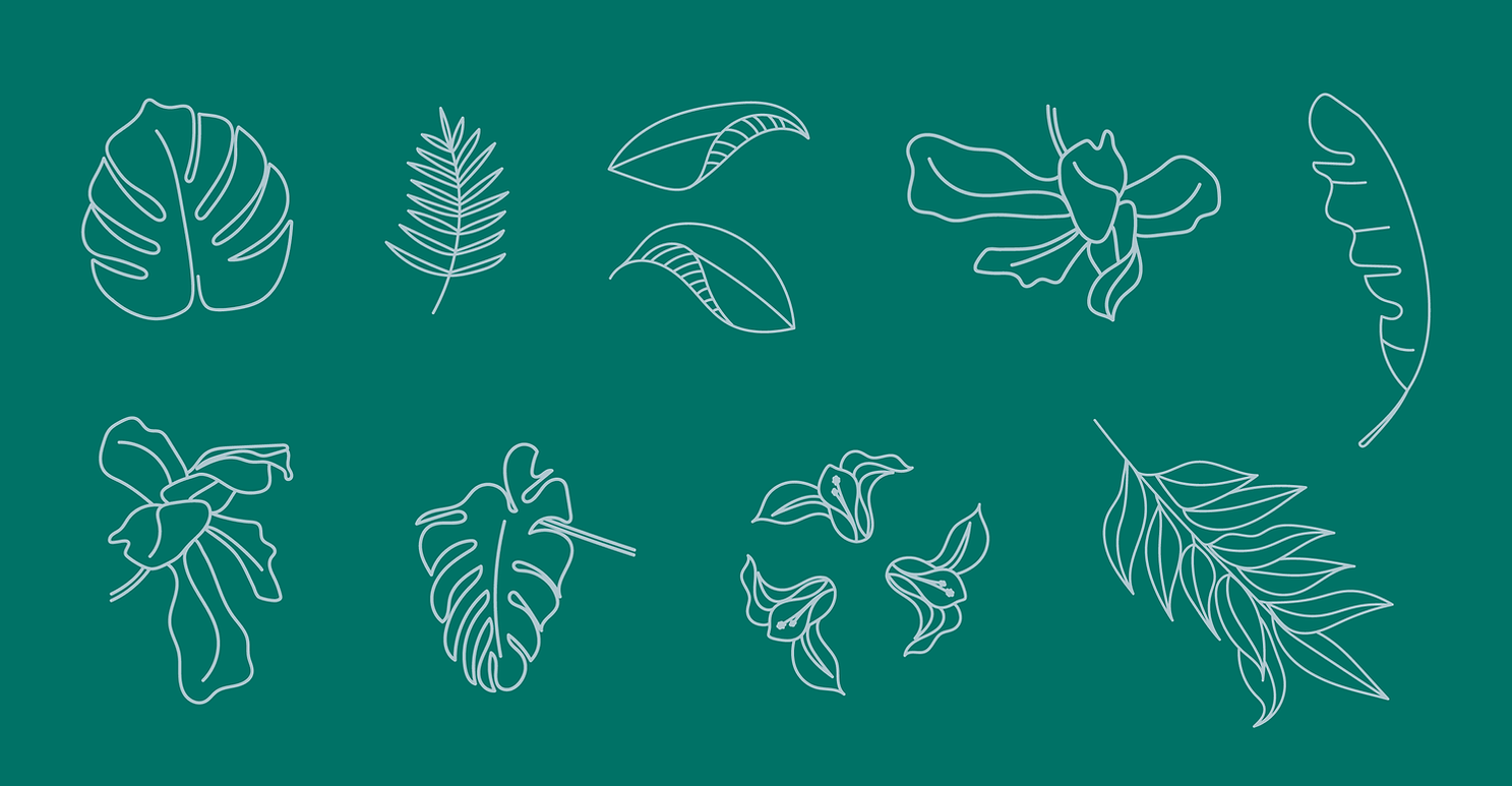 web-pages-jms-illust (1).png