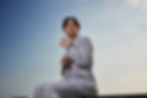 VAC_VM_artist_FansonLam (5)