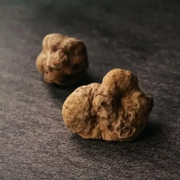 TARTUFO BIANCO.webp