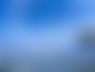 マンションの植樹の剪定問題