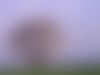 高松市管理計画認定制度第1号