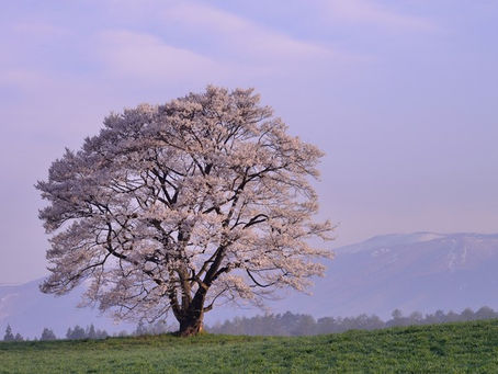 高松市管理計画認定制度第1号