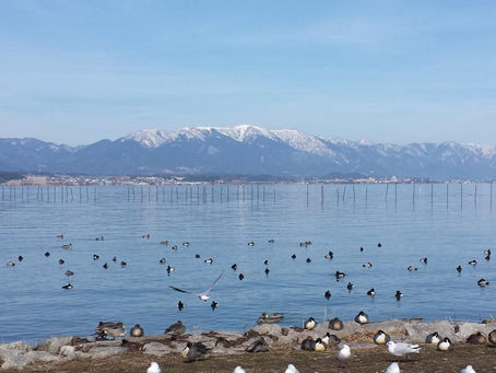 実家の空き家問題