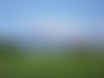 ゴミコンテナの用意