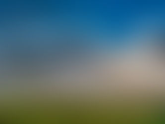 大規模木造建築物