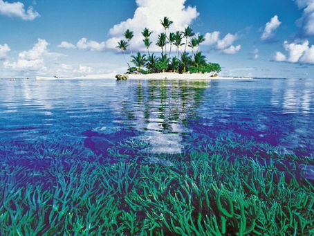 令和3年度マンション大規模修繕工事 に関する実態調査