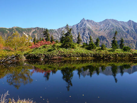 タワーマンションで心停止になった場合のリスク