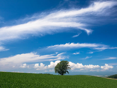 マンション標準管理委託契約書改定