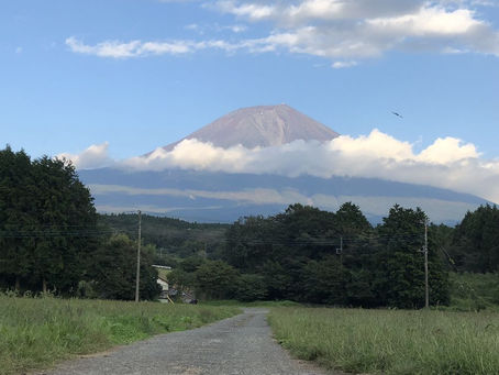 あまりにも露骨な管理会社の対応