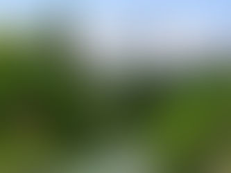 分譲マンション大規模修繕工事向け履行保証保険