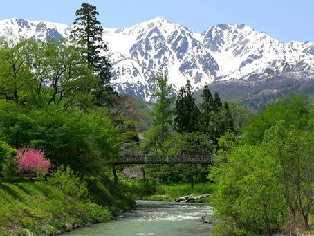 分譲マンション大規模修繕工事向け履行保証保険