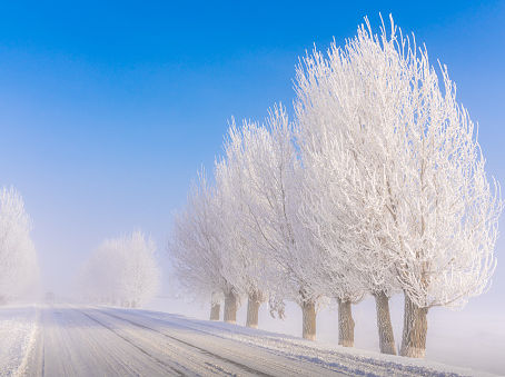 成功=「才能」×「努力」×「運」