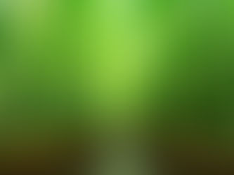 管理会社は最低限、マンション管理適正化法の理解を