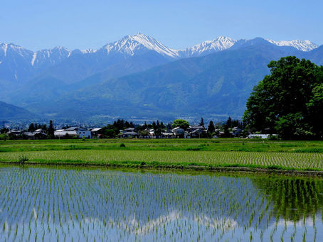 管理規約の役員条件「現に居住する」は必要?