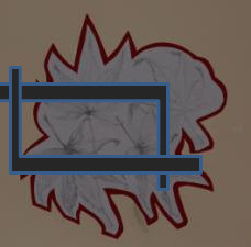 Using a viewfinder