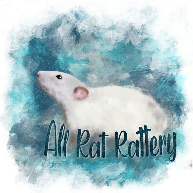 All Rat Rattery | • Imagine All The Rats