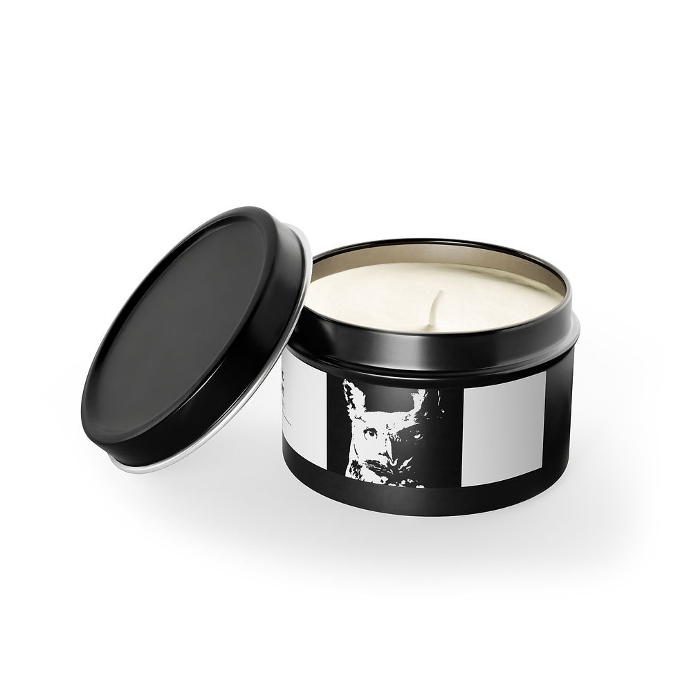 Thumbnail: Authentic Tin Candles