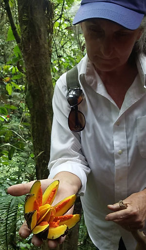 20161213_114439 (1).jpg