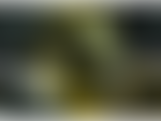 Title : Bitcoin Miners in Trouble due to Market Crash