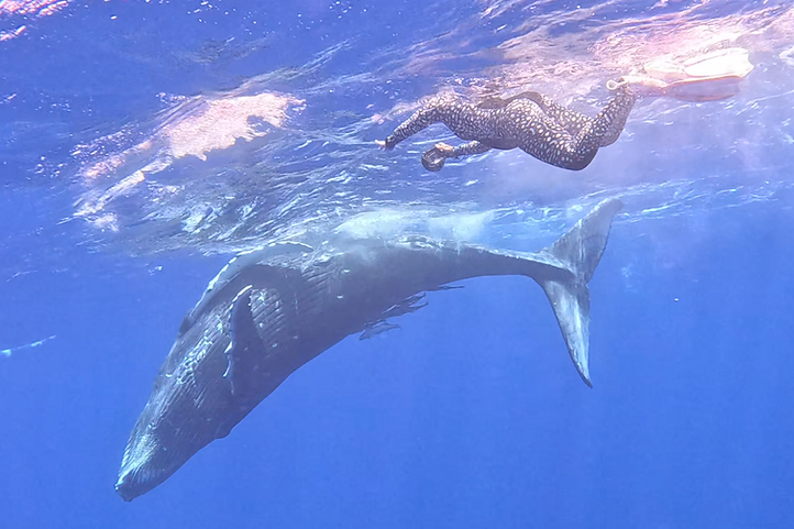 Screenshot 2026-03-06 at 9.32.06 PM.png