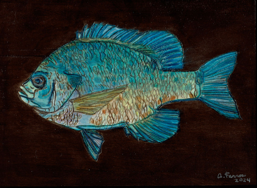 BlueGill-Watercolor-Woodburn