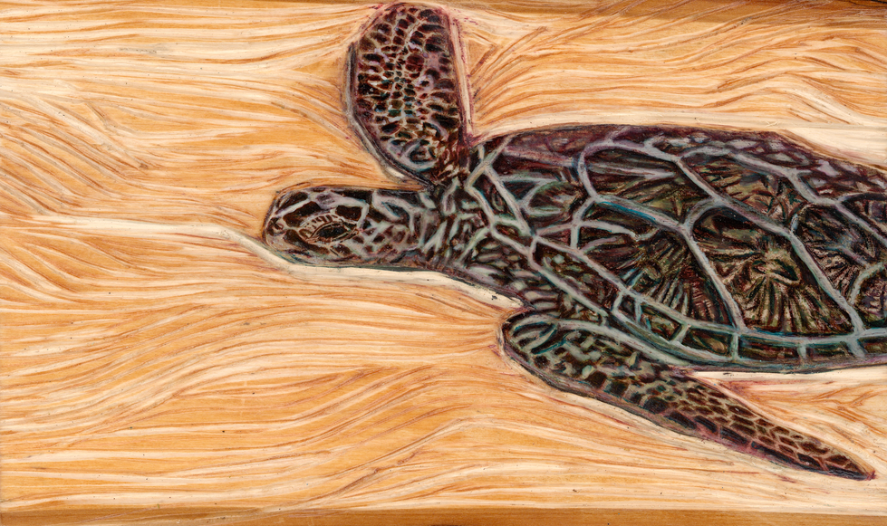 Turtle1_cropped_7x12