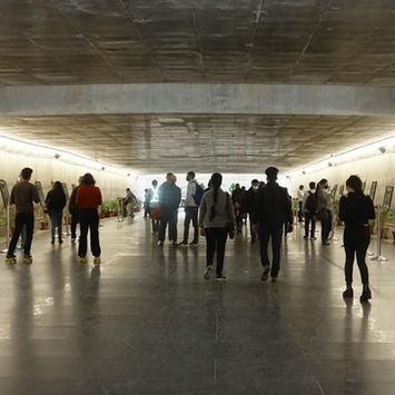 Photograpy exi 2.jpg