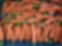 carrots-better.jpg
