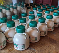 maple plastic_edited.jpg