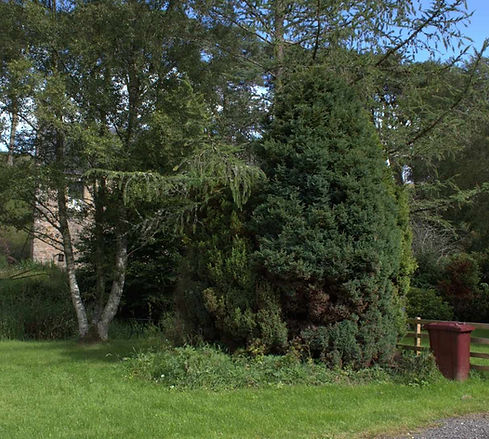 B&B in Biggar