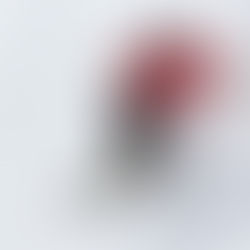 Sportarten in den Alpen