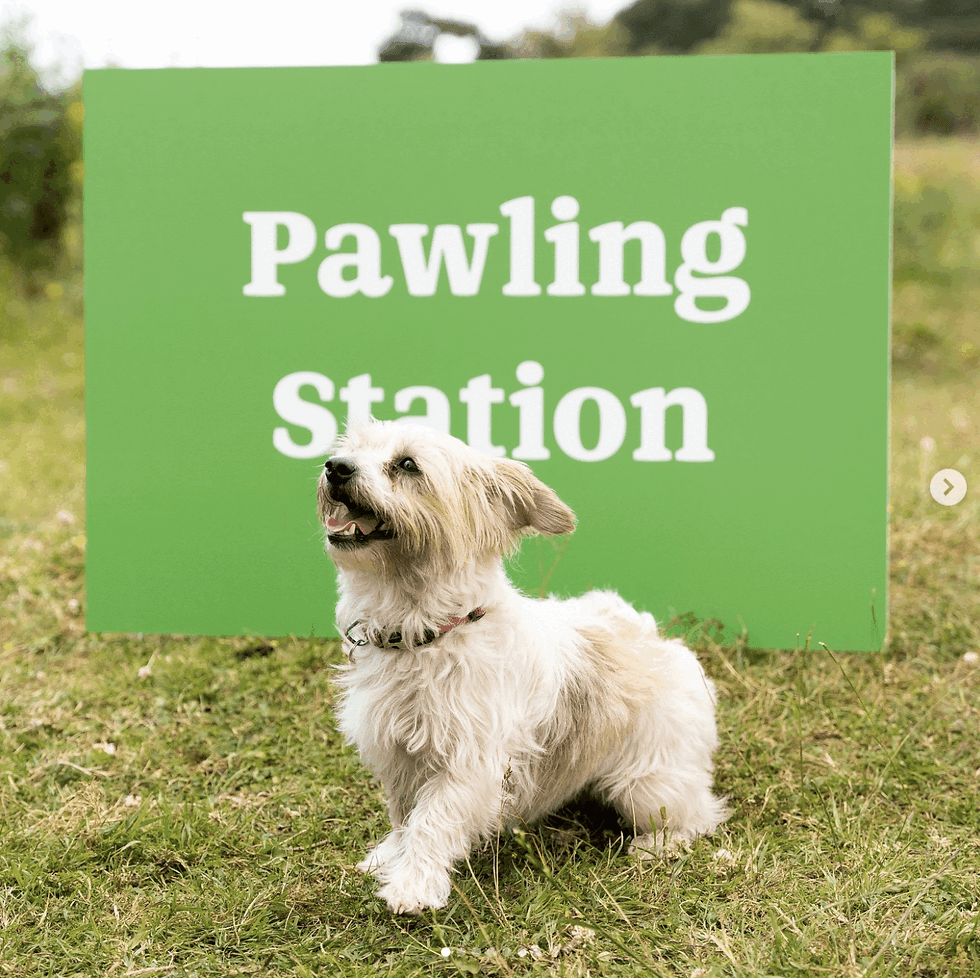 6e234e37-26fc-4c1d-8836-82346d290e12_Terry_Charlie____Absurdly_Serious__Slides_Portfolio__