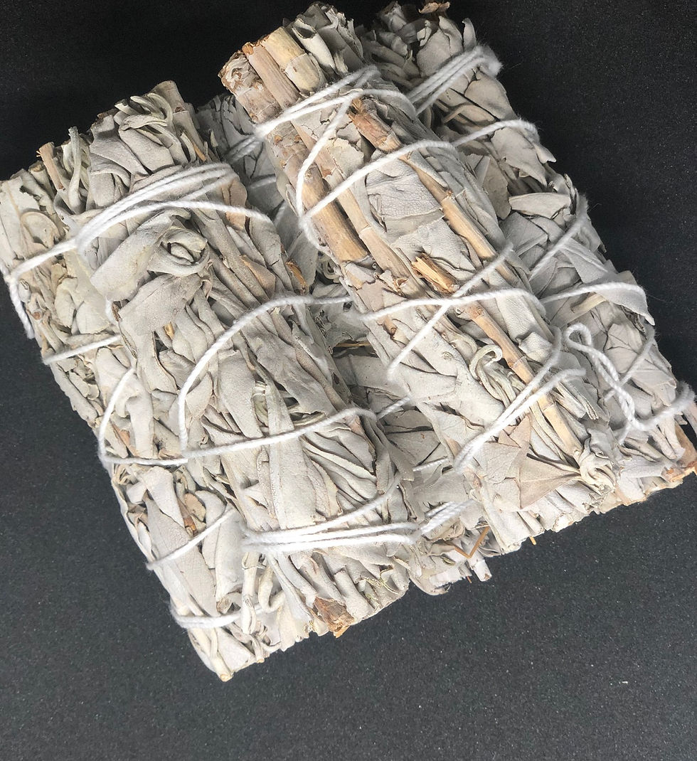 Thumbnail: California White sage 