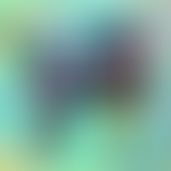 2024/5/22『エイブモズ』(4陣)