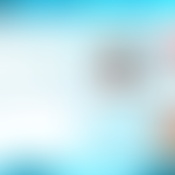 2024/11/29『バスルームの真相』(6陣)