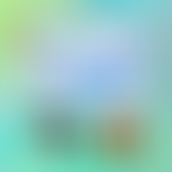 2026/1/31『エイブモズ』(6陣)