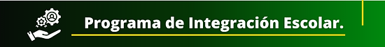 botones nuevos 2024 (2).png