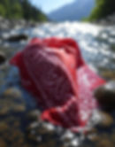 An image of a bandana being soaked in a river.