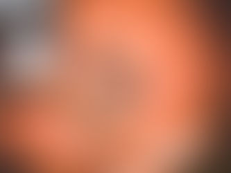 As the Fall Transitions to Winter