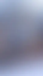 An image of the Pomoly Barracuda 2 tent with woodstove inside